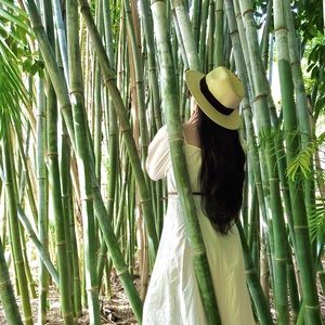 Meet your Posher, Luna